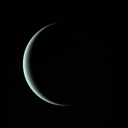 Detection of hydrogen sulphide above the clouds in Uranus’s atmosphere