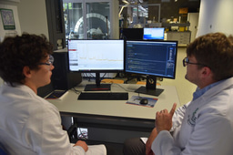 Behind the paper: Elucidating reaction dynamics in lithium–sulfur batteries via operando x-ray diffraction of hollow carbon sphere hosts