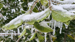 Sea-level rise is reshaping global climate far beyond coasts