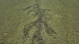 Abrupt permafrost thaw accelerates soil phosphorus cycling