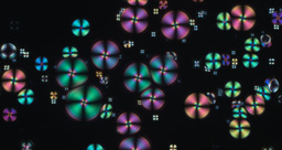 Hidden rainbows in gelatin help preventing counterfeiting