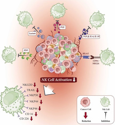 Harnessing the potential of CAR-NK cell therapy in gastrointestinal cancers: From bench to bedside