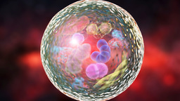 Call for Papers: Autophagy