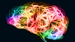 Call for papers: Cortical-subcortical brain loops