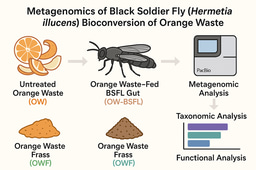 Microbial Ecology and Functional Landscape of Black Soldier Fly Larval Bioconversion of Orange Waste: A Metataxonomic Perspective