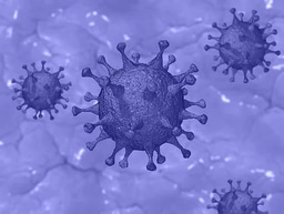 The biochemistry of SARS-CoV-2: a reasoned collection of resources