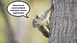 Conservation Professional looking for work!