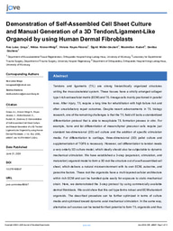 Demonstration of Self-Assembled Cell Sheet Culture and Manual Generation of a 3D Tendon/Ligament-Like Organoid by using Human Dermal Fibroblasts
