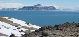 Advancing Antarctic Geoheritage: A Call to the Geoscience Community
