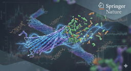 When a Natural Compound Disrupts an Alzheimer’s Protein