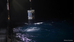 Distinct contributions of suspended and sinking prokaryotes to mesopelagic carbon budget