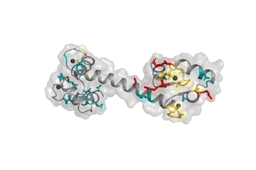 Changing scientific perspective from cardiac arrhythmia to schizophrenia