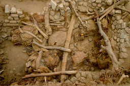 Feathers of the Rainforest: Tracing the Pre-Inca Trade of Amazonian Parrots to the Peruvian Coast