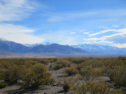 More than the sum of its parts: Indigenous communities, archaeologists and genomicists uncover human history in the Andes