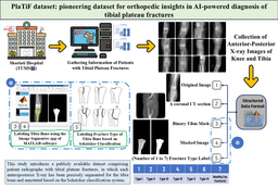 Bridging the Data Gap in Orthopedic AI: The Story of the PlaTiF Dataset