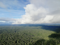 Tropical forests make it rain