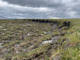 What changes for climate targets when permafrost emissions are included?