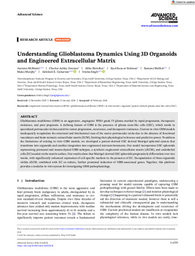 Understanding Glioblastoma Dynamics Using 3D Organoids and Engineered Extracellular Matrix