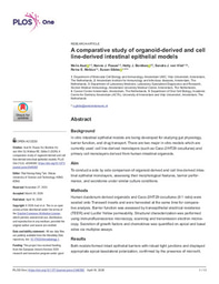 A comparative study of organoid-derived and cell line-derived intestinal epithelial models