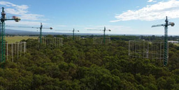 Could soil decomposer microbes determine the ecosystem response to rising atmospheric CO2? 