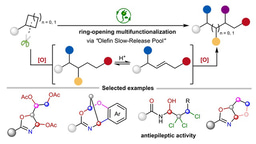 Beyond Difunctionalization: How Electrochemistry Reprogrammed Strained Rings