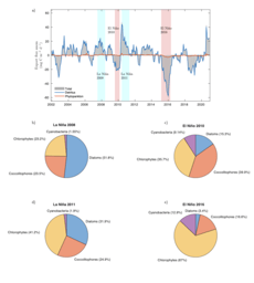 Extreme heatwaves and ocean biology