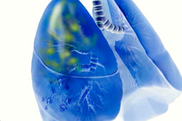 mRNA-Encoded "Mini-Antibodies": A Next-Generation Shield Against Multidrug-Resistant Bacteria