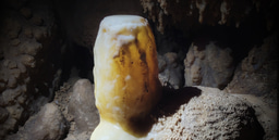 From Caves to Climate: Teamwork in Tunisia