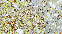 When crystals start to move: uncovering the hidden role of shear during magma ascent