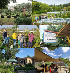 When Co-Creation Meets Reality