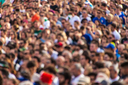 From Values to Votes: How Justice Shapes Climate Policy Preferences