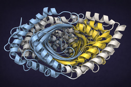CYP1A1: the problem is not sensing the signal. It is stopping it.