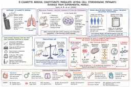 How e-cigarette aerosols may impair Leydig cell steroidogenesis