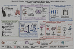 How e-cigarette aerosols may impair Leydig cell steroidogenesis