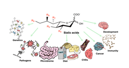What my PhD taught me about when persistence stops helping
