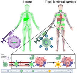 Gene therapists of tumors: turning T cells into local delivery micromachines