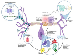 Behind the Paper: Chronic pancreatitis pain is not one disease; and that matters