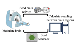 Paving the way for precision treatment of psychiatric symptoms with functional connectivity neurofeedback