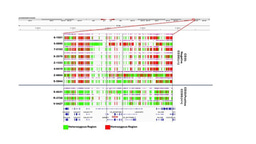 United by the goal of improving precision medicine, Hematologics Inc and the Lamba Lab collaborated to publish ‘Interstitial Loss of Heterozygosity at Chr19q13 in CD33-Negative AML‘.