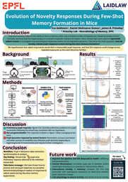 Research poster - Evolution of Novelty Responses During Few-Shot Memory Formation in Mice