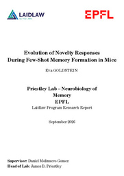 Research Report : Evolution of Novelty Responses During Few-Shot Memory Formation in Mice