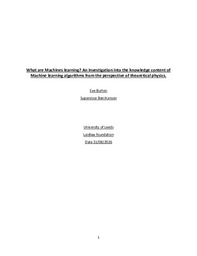 What Are Machines Learning? - Research Report 