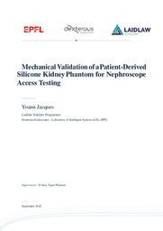 Research report: Mechanical Validation of a Patient-Derived Silicone Kidney Phantom for Nephroscope Access Testing