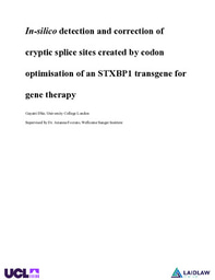 In-silico detection and correction of cryptic splice sites created by codon optimisation of an STXBP1 transgene for gene therapy (Report)