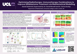 Optimising Radiotherapy–Immunotherapy Combinations to Improve Glioblastoma Treatment via Mathematical Modelling