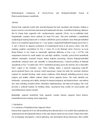 Final Research Report 