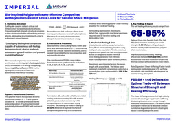 Laidlaw Research Poster