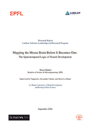 Research Report