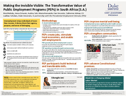 Research Poster: The Transformative Value of Public Employment Programs in South Africa