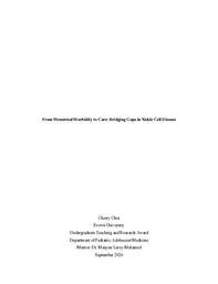 From Menstrual Morbidity to Care: Bridging Gaps in Sickle Cell Disease